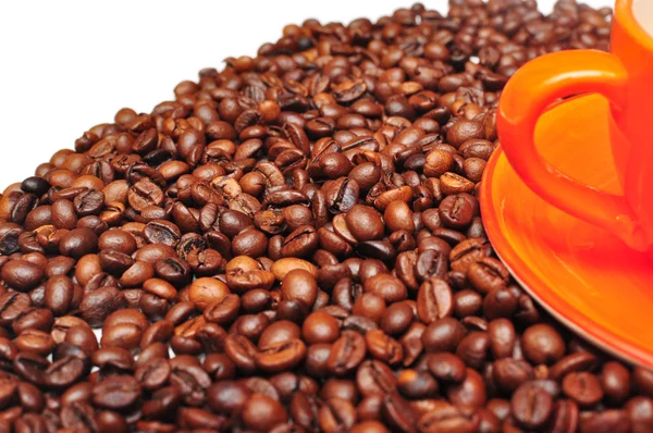 Xícara de café nos grãos — Fotografia de Stock