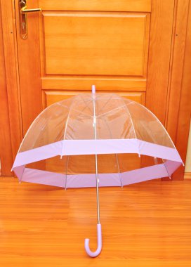 Transparent umbrella clipart