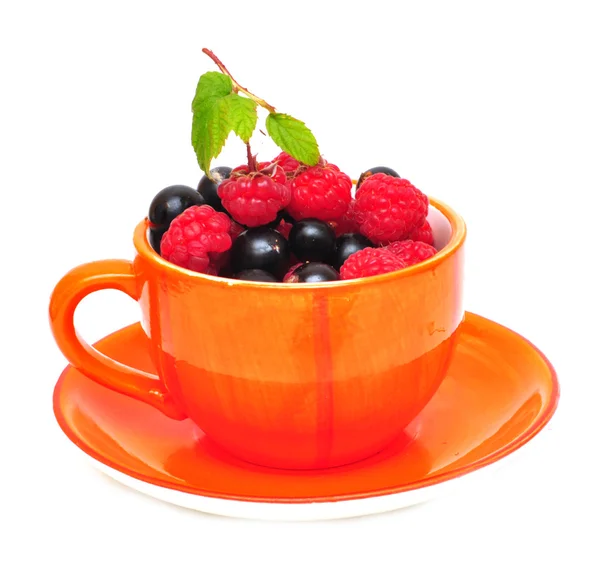 Tea cup with berries — Stock Photo, Image