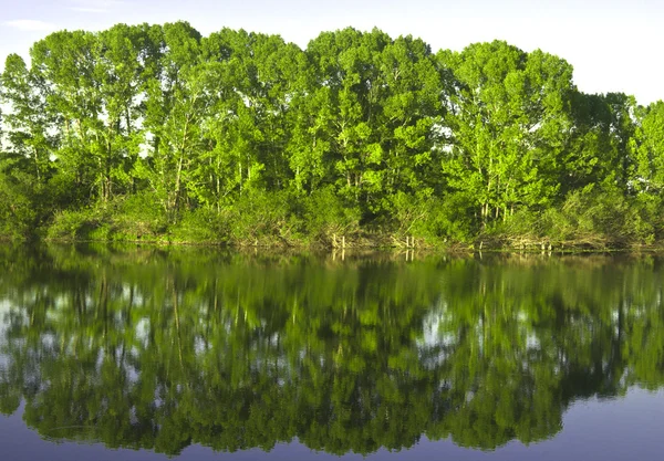 Рефлексия в реке — стоковое фото