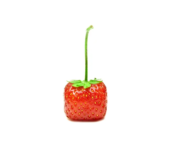 Χυμώδης φράουλα — Φωτογραφία Αρχείου