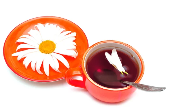 Oranje kop thee en camomiles — Stockfoto