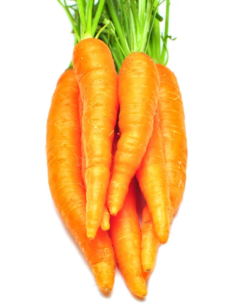 Sayuran segar wortel — Stok Foto