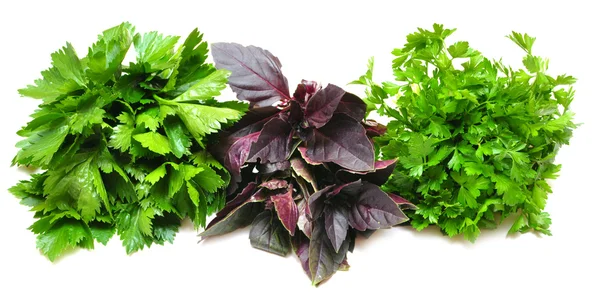 stock image Basil, parsley, celery