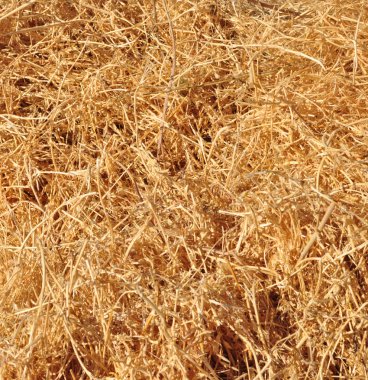 Abstract background made from straw clipart