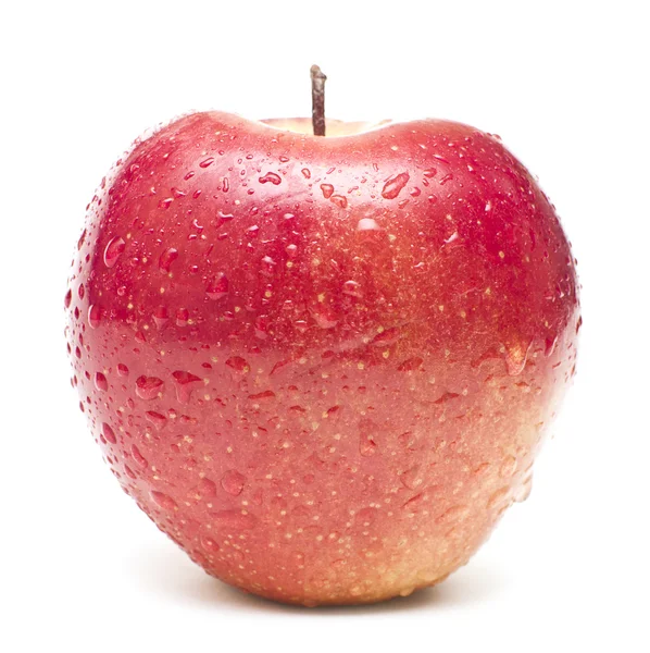 Våt rött äpple täcks av vatten droppar på vit bakgrund — Stockfoto