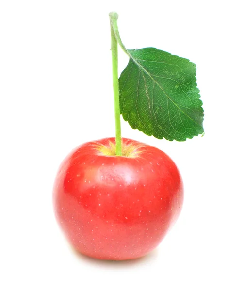 Zralé červené jablko s zelený list — Stock fotografie