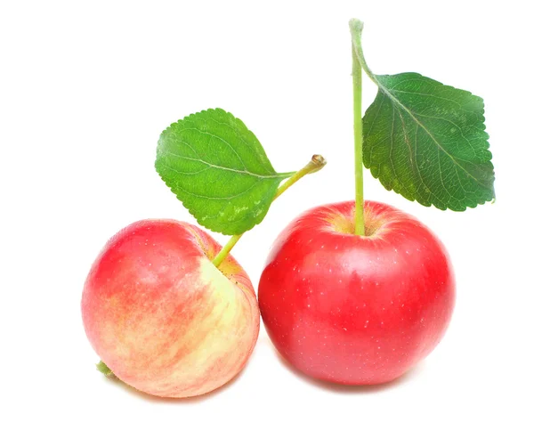 Зрізати червоне яблуко з зеленим листям — стокове фото