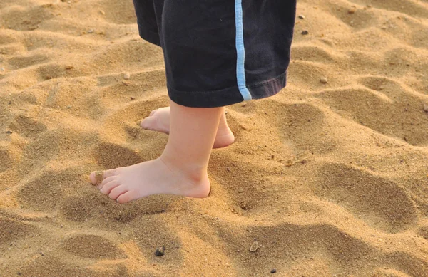 stock image Baby's legs in shorts