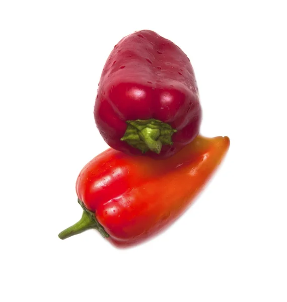 Due rossi paprika — Foto Stock