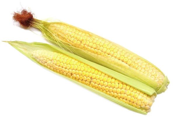 stock image Two cob of corn