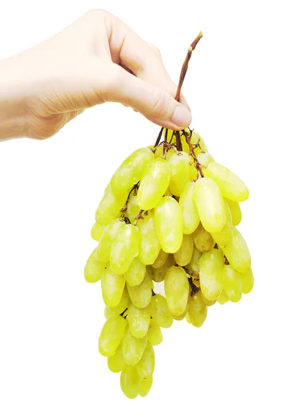 Sarı üzüm — Stok fotoğraf