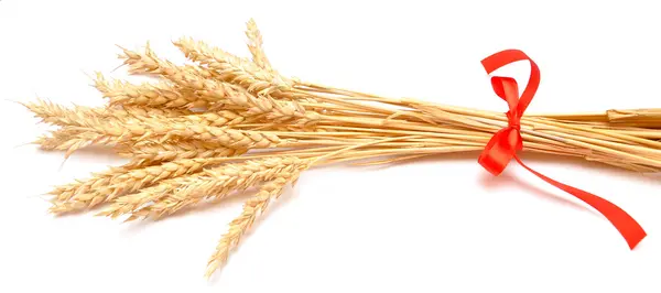 stock image Ears wheat