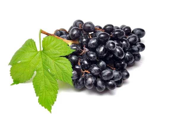 Zwarte druif met blad — Stockfoto