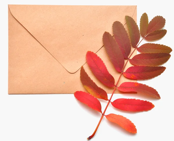 Envelope outonal — Fotografia de Stock