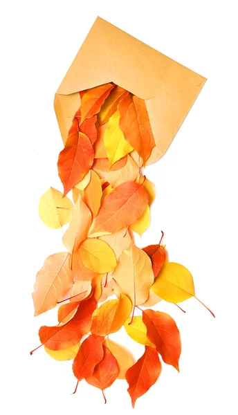 Autumnal envelope — Stock Photo, Image