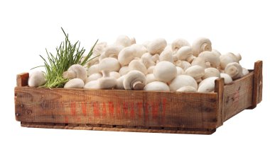 Crate of fresh white mushroom clipart