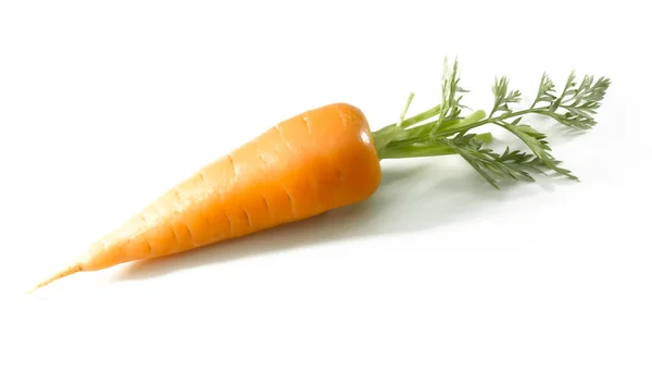 Σύντομη καρότο απομονωθεί σε λευκό — Φωτογραφία Αρχείου