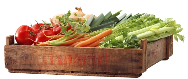 Låda av friska grönsaker — Stockfoto