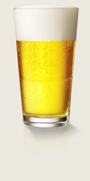 Perfektes Glas Bier — Stockfoto