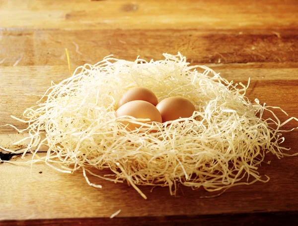 Αυγά σε φωλιά πουλιών — Φωτογραφία Αρχείου