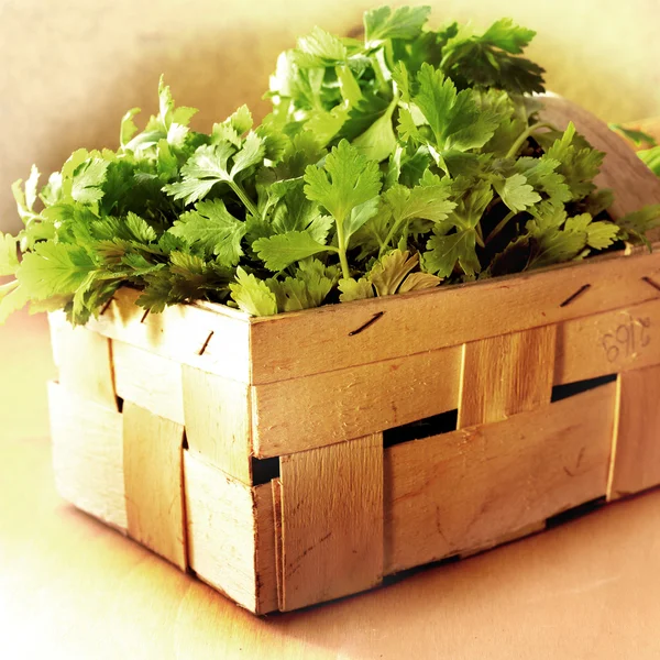 Parsley in a crate — Stock Photo, Image