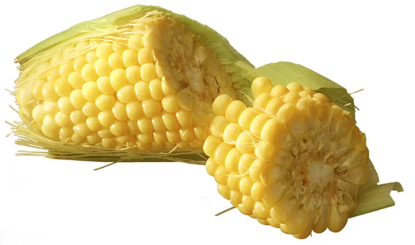 Oreja de maíz partida por la mitad — Foto de Stock