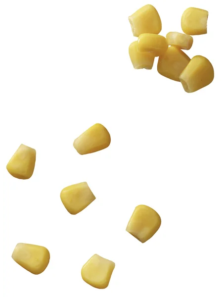 Corn grain — Stock Photo, Image