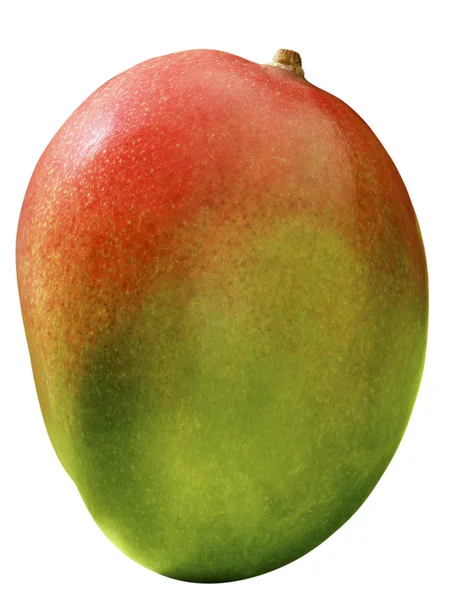 Mango. Imágenes de stock libres de derechos