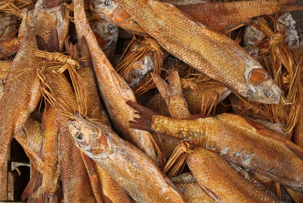Solné sušené ryby — Stock fotografie