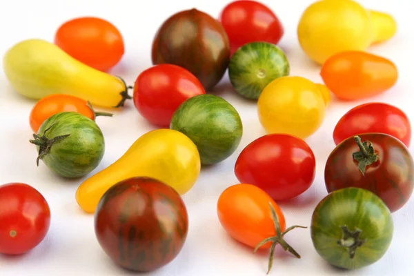 Varieties of tomato on white fabric — Stock Photo, Image