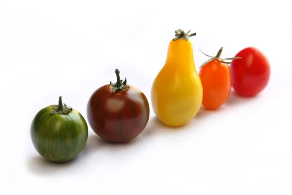 Isolated colorful tomatoes standing in line — Stock Photo, Image