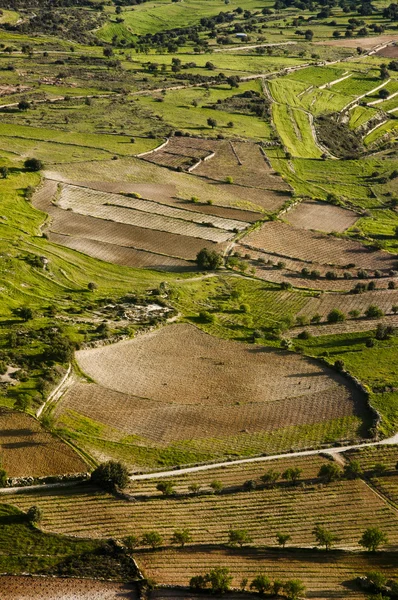 Aerial view at farm fields — Stock Photo, Image
