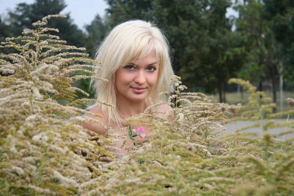 Красивая девушка в высокой траве — стоковое фото