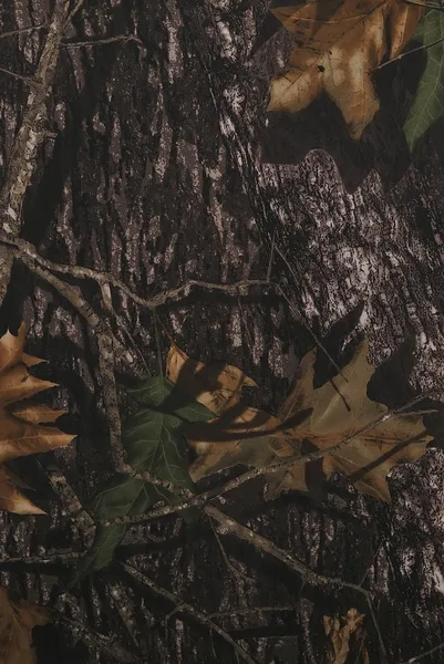 Tissu de camouflage forêt — Photo