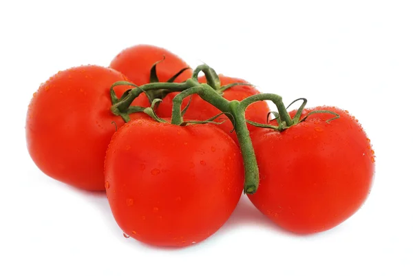 Bunch of tomatoes — Stock Photo, Image