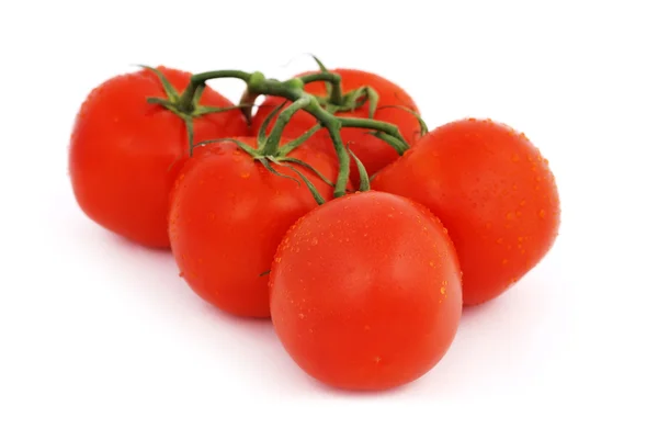Mazzo di pomodori — Foto Stock