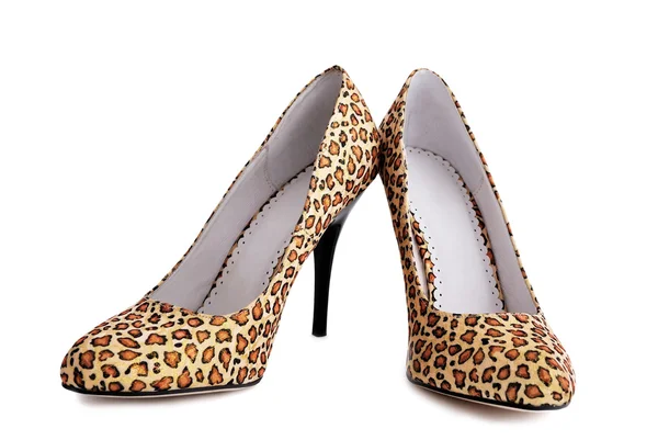 Zapatos de leopardo — Foto de Stock