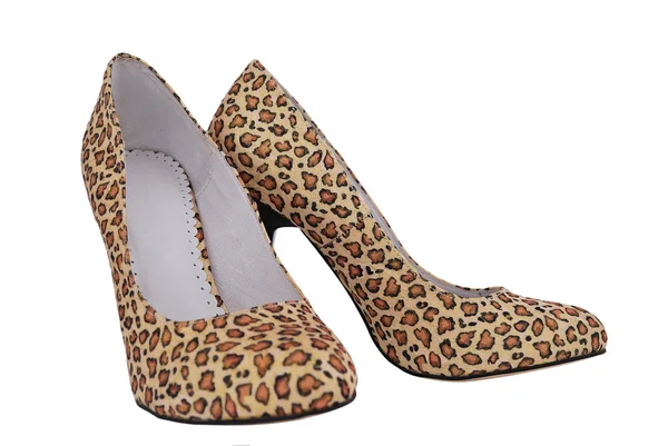 Scarpe leopardate — Foto Stock