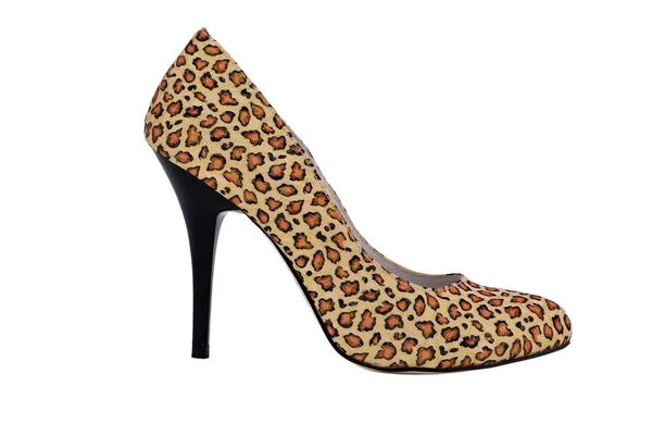 Leopard buty — Zdjęcie stockowe