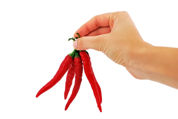 Chilli papričky v ruce — Stock fotografie