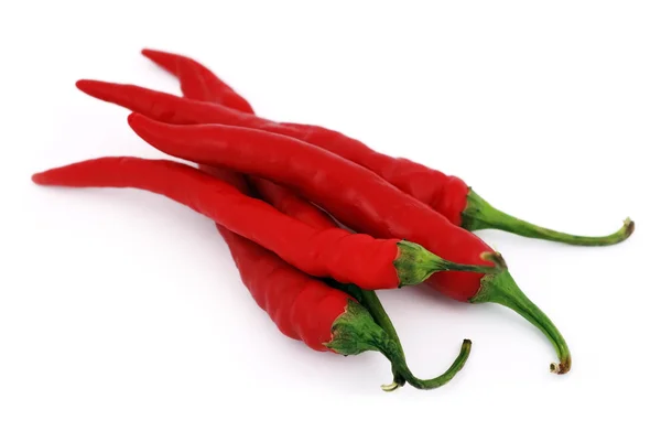 Chilli papričkou — Stock fotografie