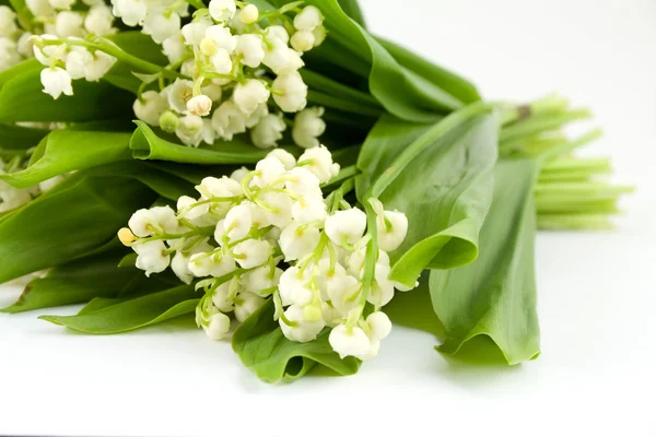 stock image Lily of the valley