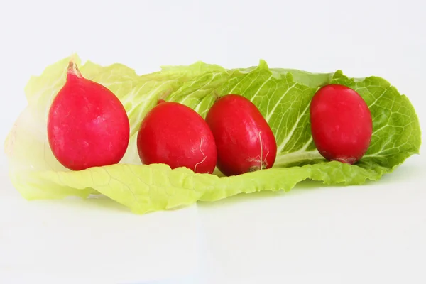 Radish and lettuce 2 — Stock Photo, Image