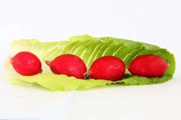 Radish and lettuce 1 — Stock Photo, Image