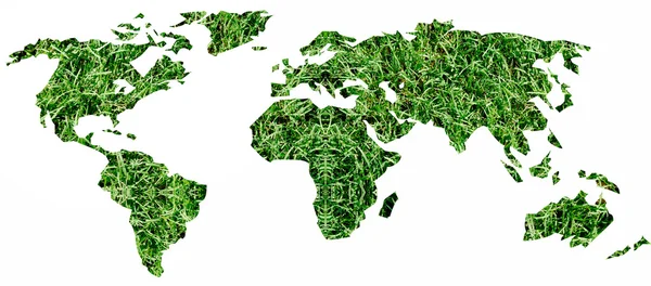 stock image Green world