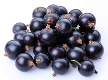 Group of black currants clipart