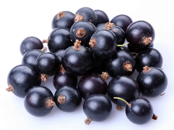 Group of black currants — Stock Photo, Image