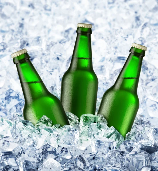 Пиво во льду. — стоковое фото