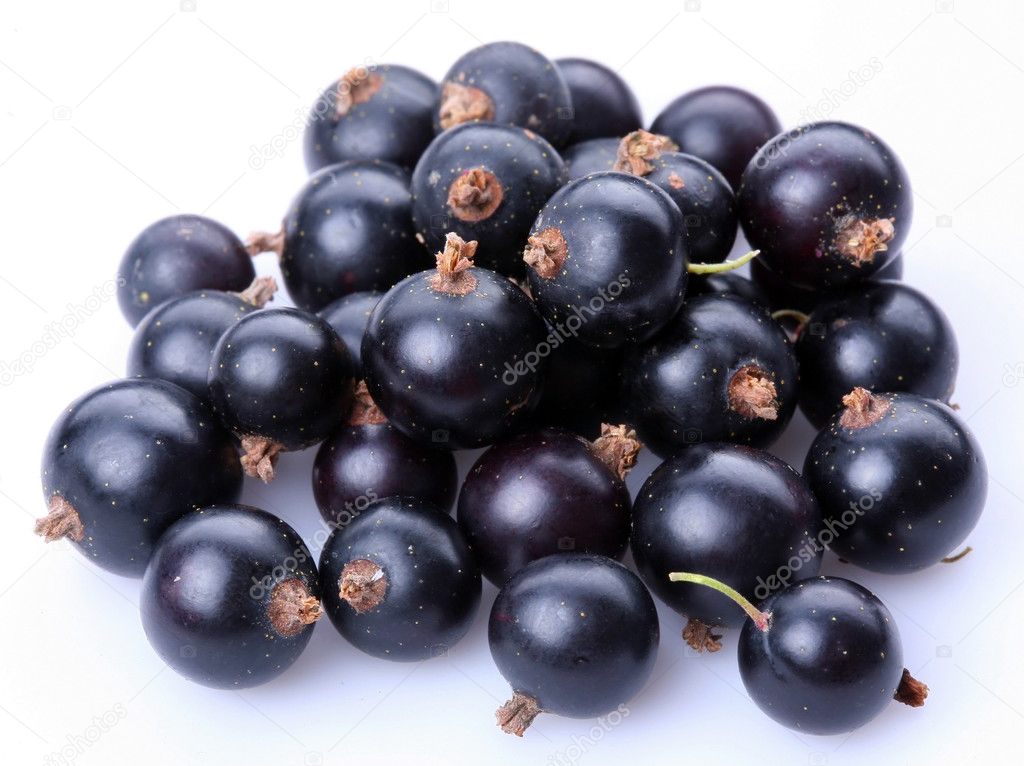 Group of black currants